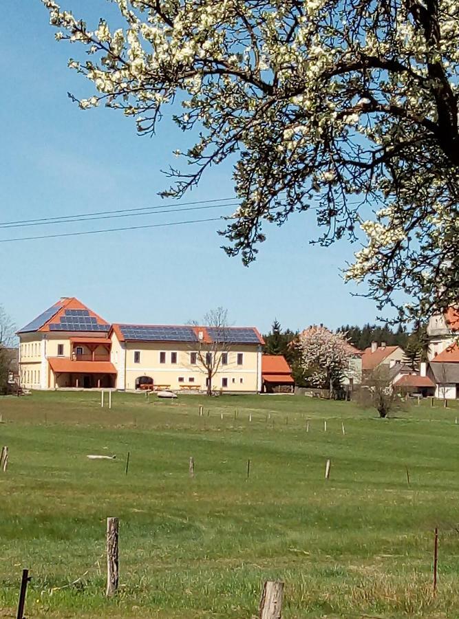 Penzion Hůrky Nová Bystřice Esterno foto
