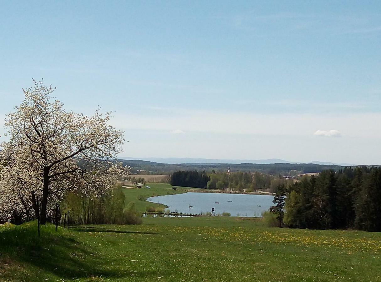 Penzion Hůrky Nová Bystřice Esterno foto